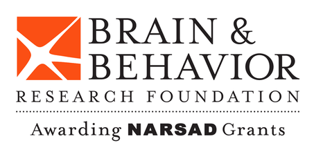 bbr foundation logo